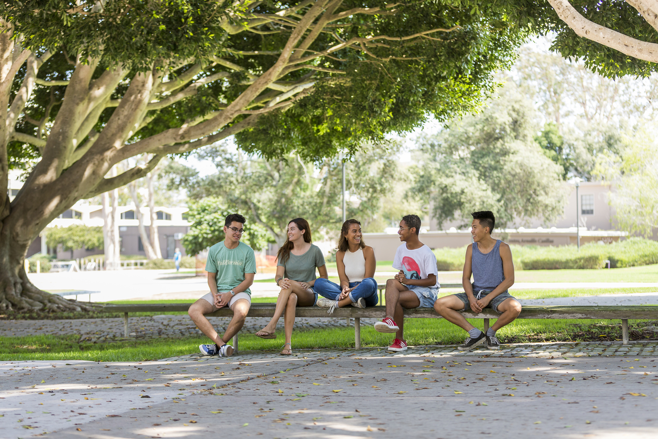 undergraduate research ucsb