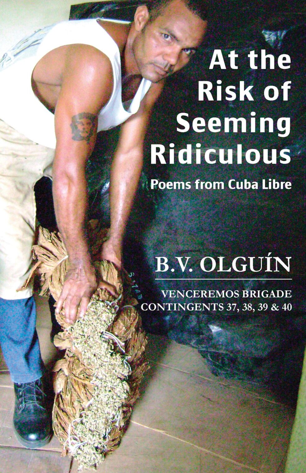 At the Risk of Seeming Ridiculous Cover At the Risk of Seeming Ridiculous Cover