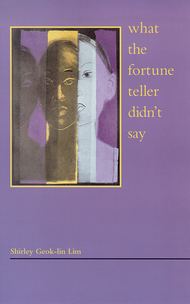 What the Fortune Teller Didn't Say Cover What the Fortune Teller Didn't Say Cover